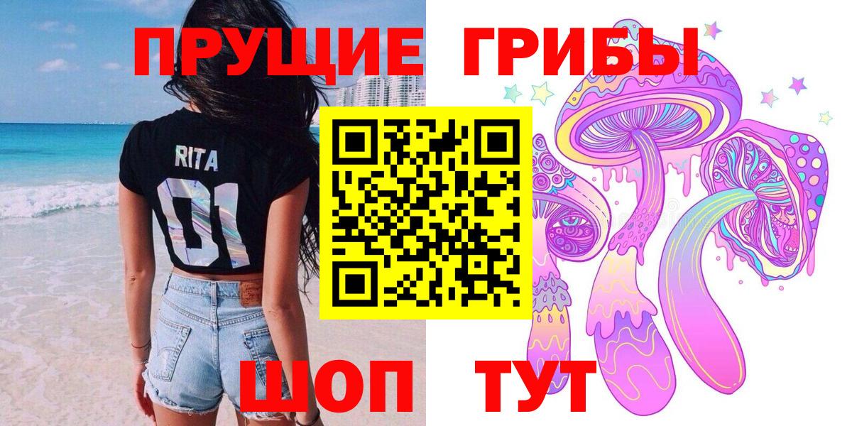 Псилоцибиновые грибы мухоморы Минеральные Воды
