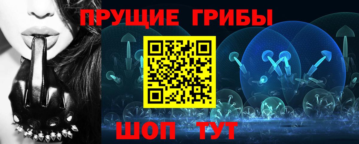 Минеральные Воды  Псилоцибиновые грибы мухоморы  Вход с VPN  даркнет сайт  Псилоцибиновые грибы Psilocybine cubensis 
